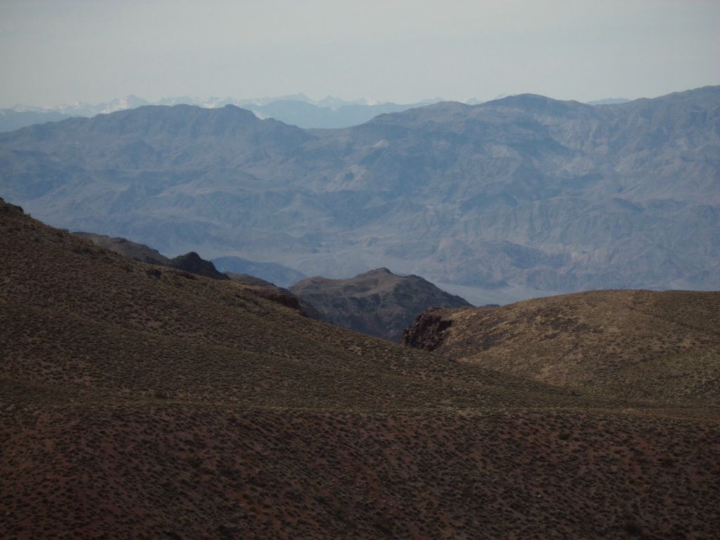 Looking over the top of the Cottonwoods, the Inyos and the snow capped Sierras are barely visible: