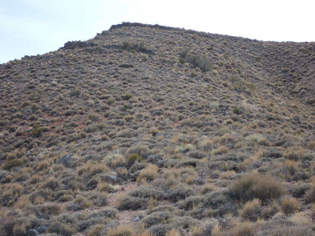 Moving on to yet another section of the ridge.  Elevation gain on this hike is about 1,800 feet, including an unavoidable drop of 400 feet in the middle: