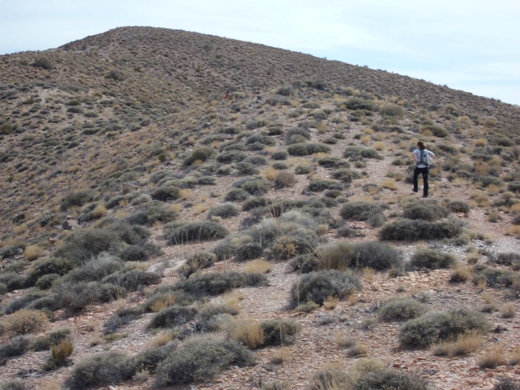 More uphill from here to complete the initial ridge portion of the hike: