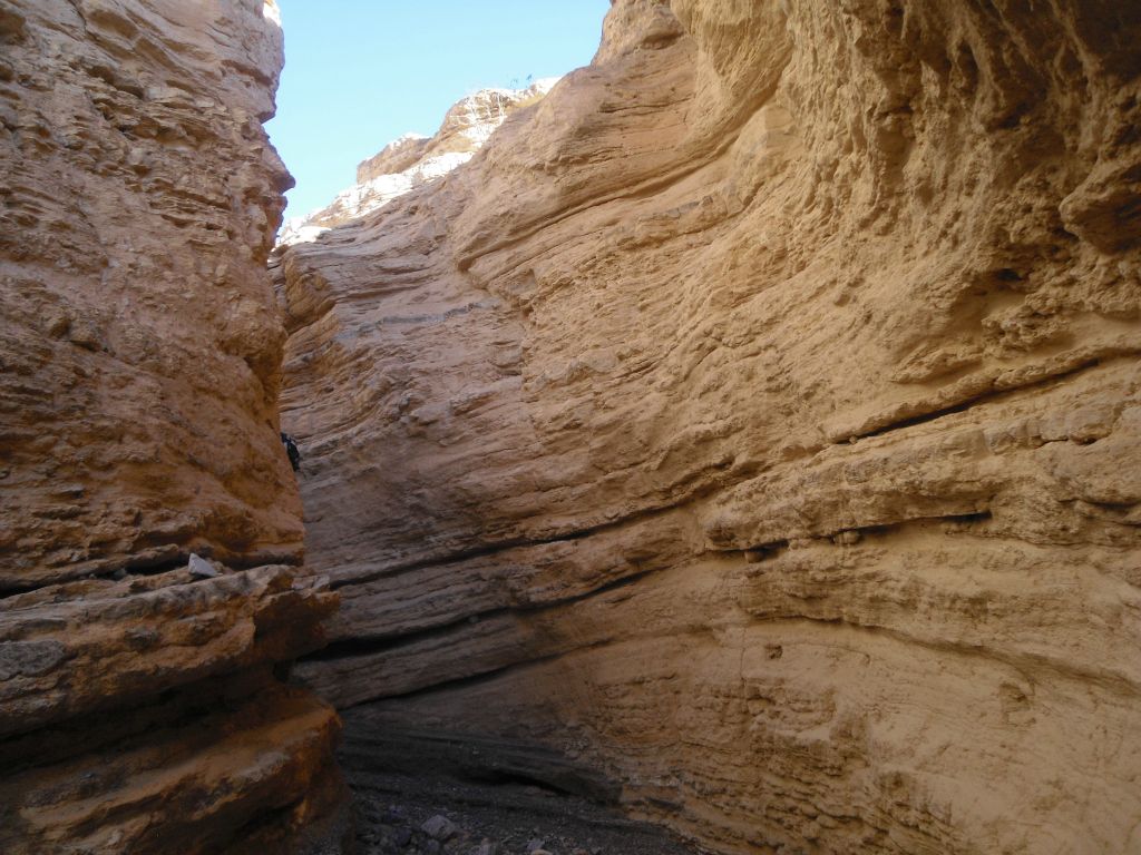 It was easy to lose sight of Charlie hiking through here because there weren't a lot of straight sections: