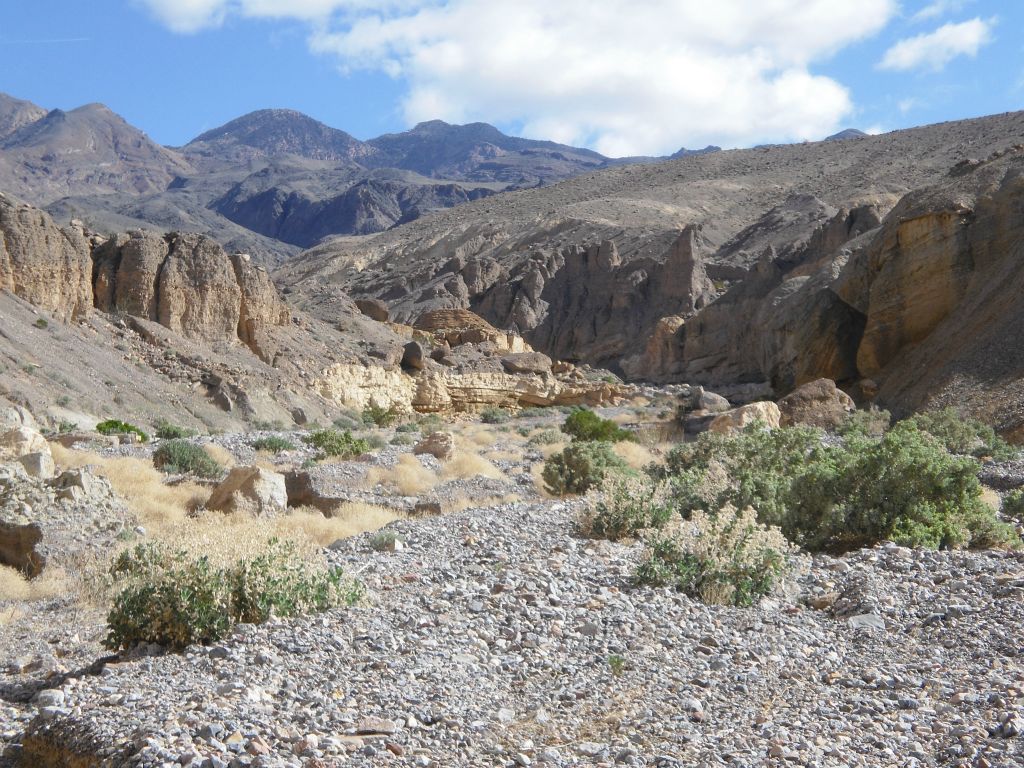 After the first set of narrows, the canyon opens up again for a little while: