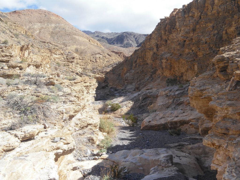 This stretch of canyon had a lot of small rock steps in the wash, as shown in the next two pictures: