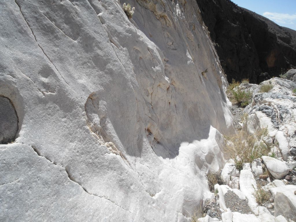 A close-up of the polished white rock.  This is where the geology started getting very interesting: