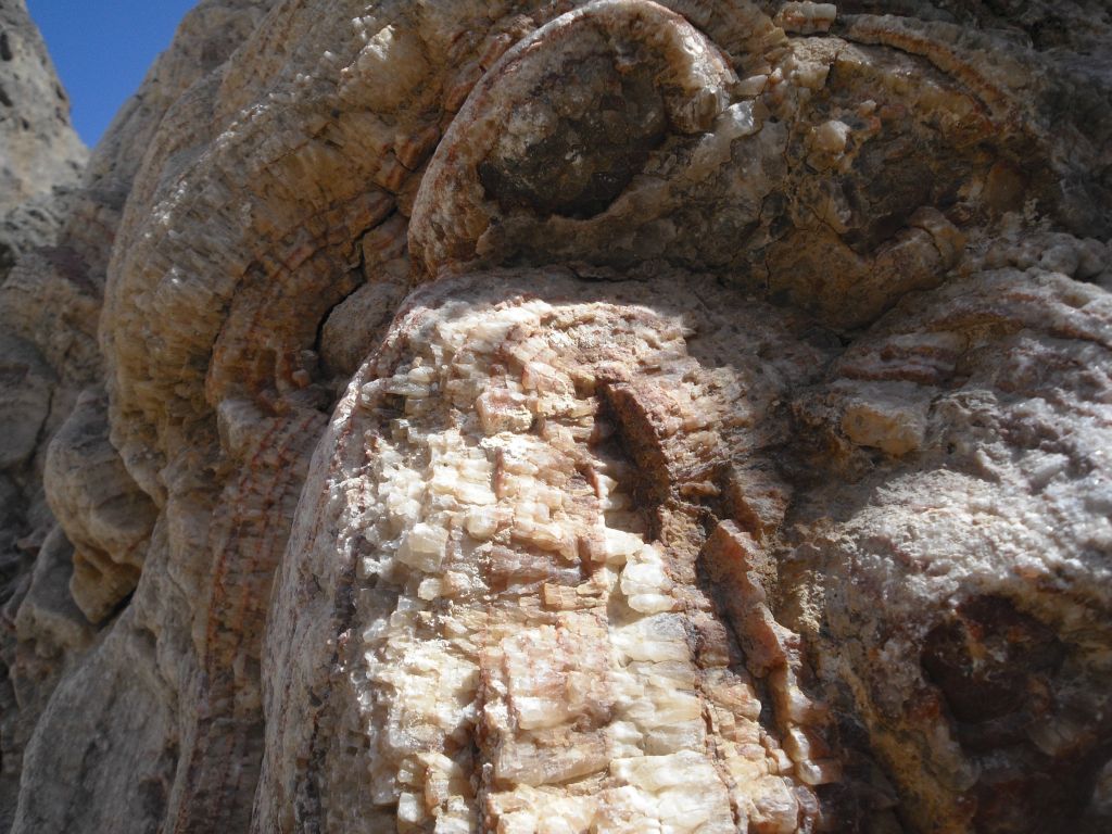 Some very unique and alien shapes along the canyon wall: