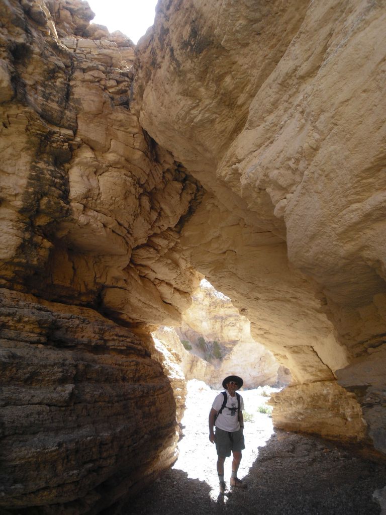 This picture of Charlie shows you how tall the natural bridge is: