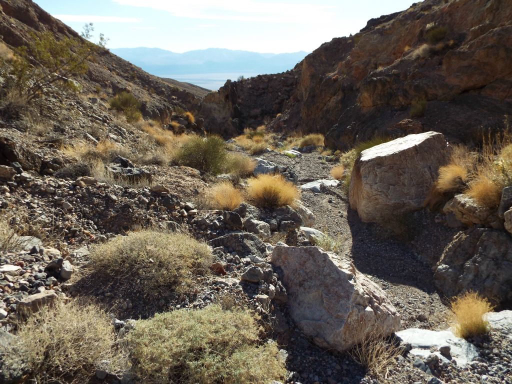 Charlie checked out the end portion of the upper canyon and then we both started hiking down the wash: