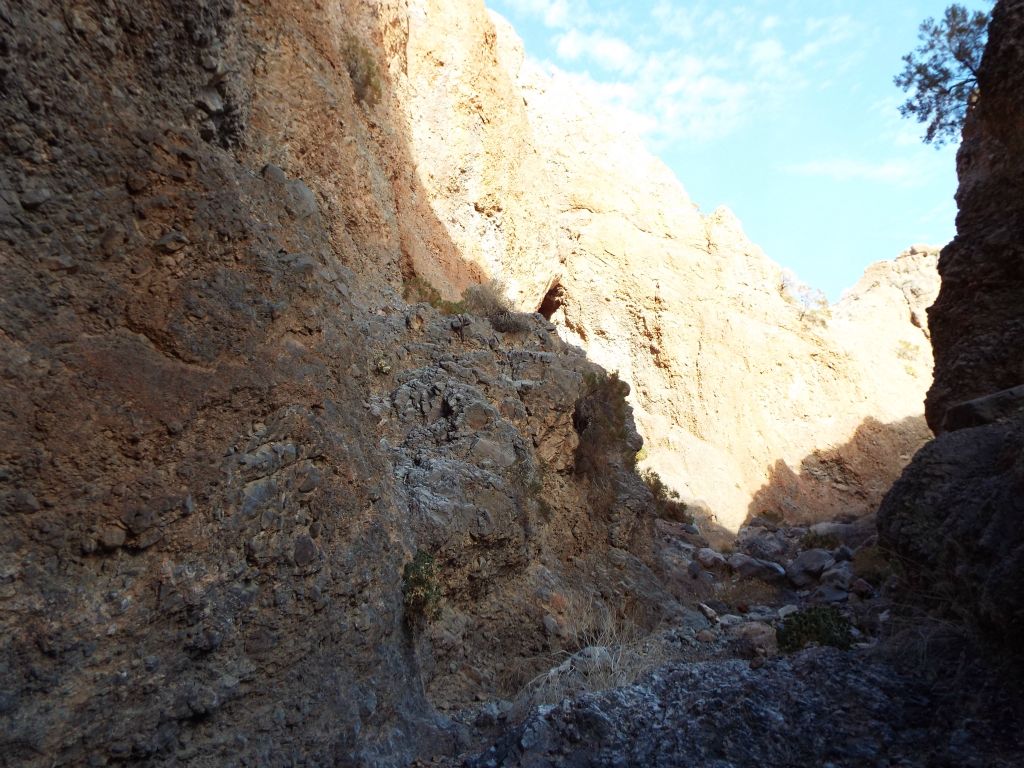 Late afternoon sunshine finds its way onto the canyon walls: