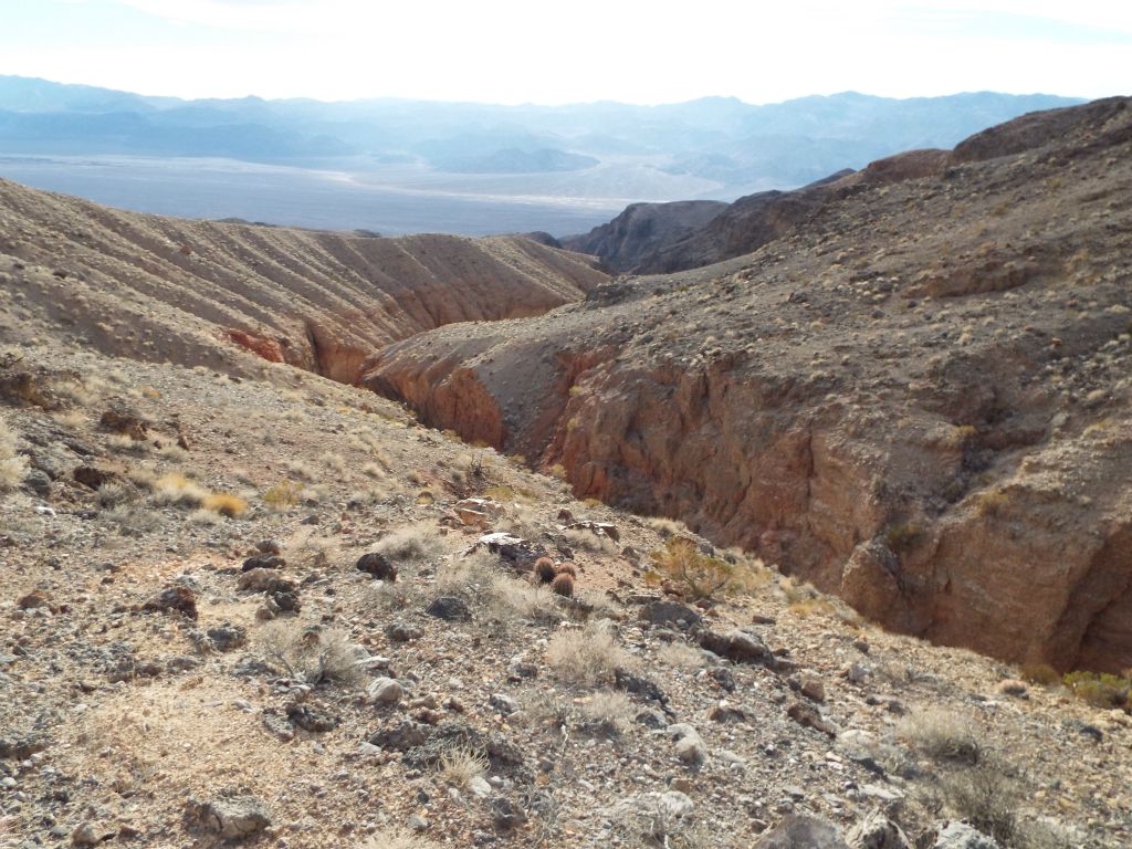We backtracked a ways and finally found a way to get up onto the southeastern hillside.  It wasn't easy, though.  We are now hiking near the canyon rim: