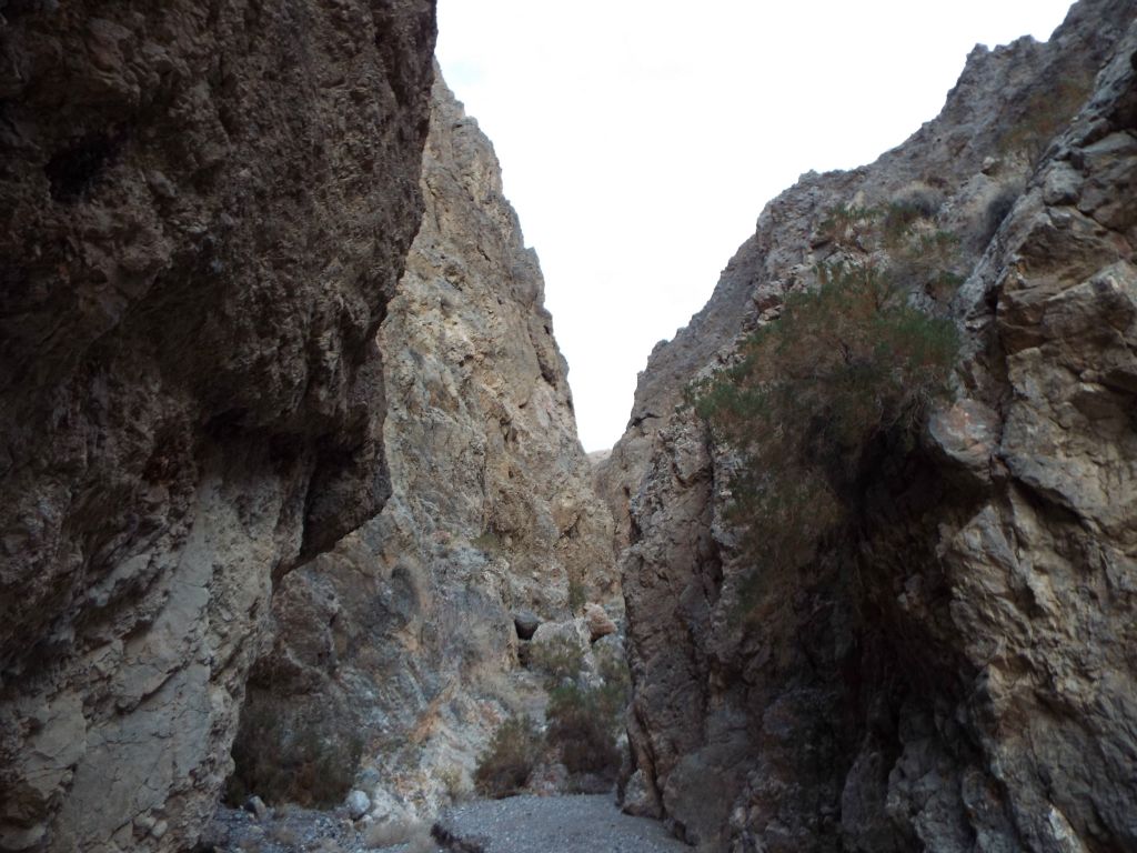 Because I really didn't want to take a third hike to get all the way back up to this spot, we decided to head up canyon: