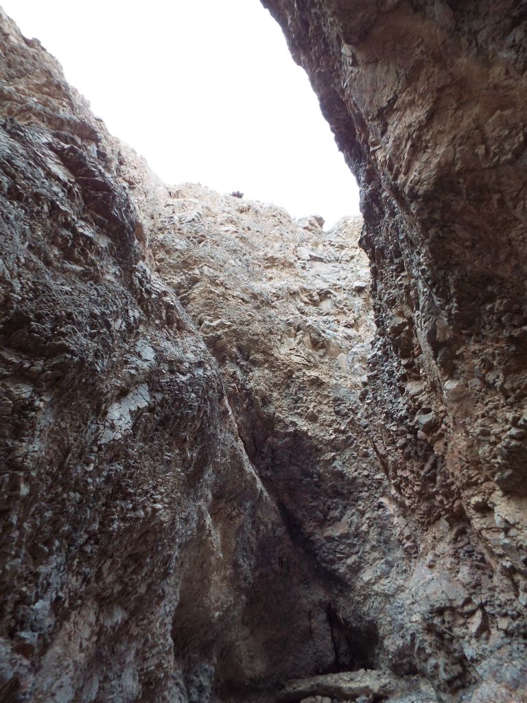 Truly majestic narrows as we looked up at the canyon rim: