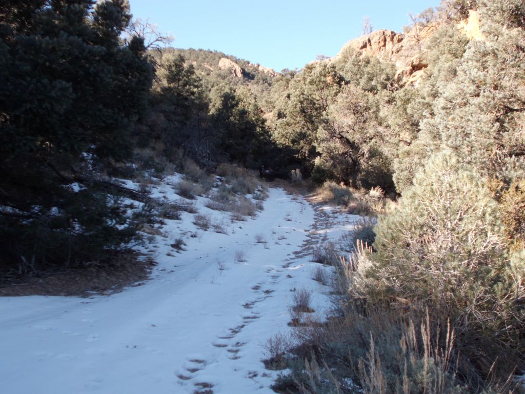 The snow on the road got thicker, the grade got steeper, and the road got rougher.  So we parked and started hiking: