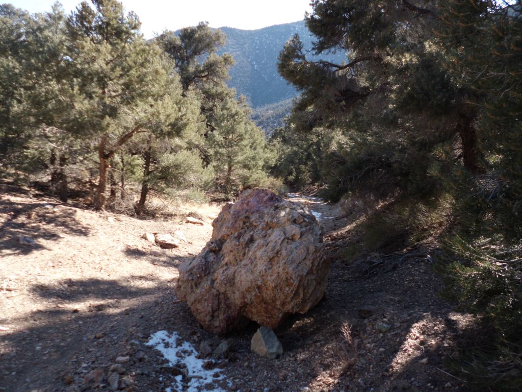 Passing by the well known boulder which has rolled onto the upper portion of Phinney Canyon Road: