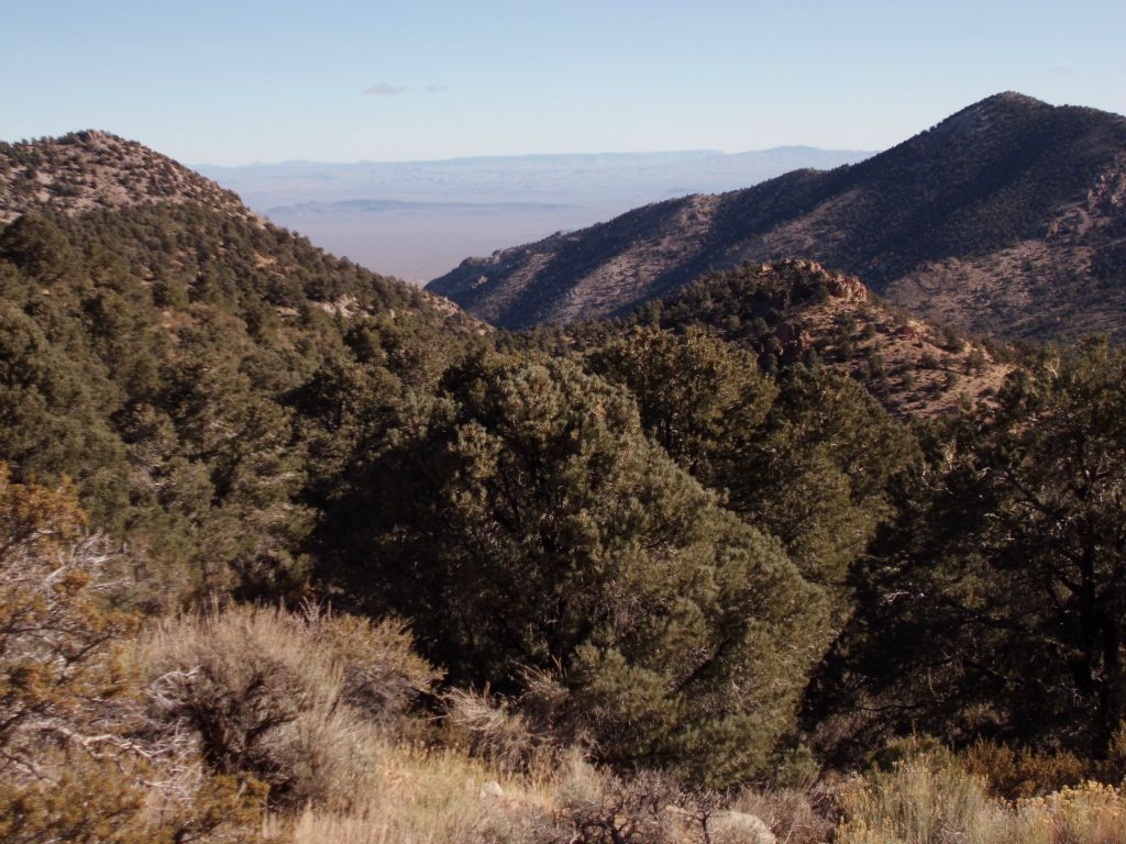 View looking back down Phinney Canyon as we gained elevation: