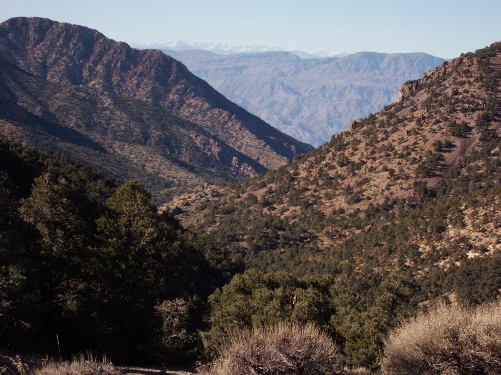 Finally reaching the saddle after hiking up 1,000 feet in elevation and looking over the other side into Upper Moonlight Canyon.  The snow capped Sierras can be seen in the distance: