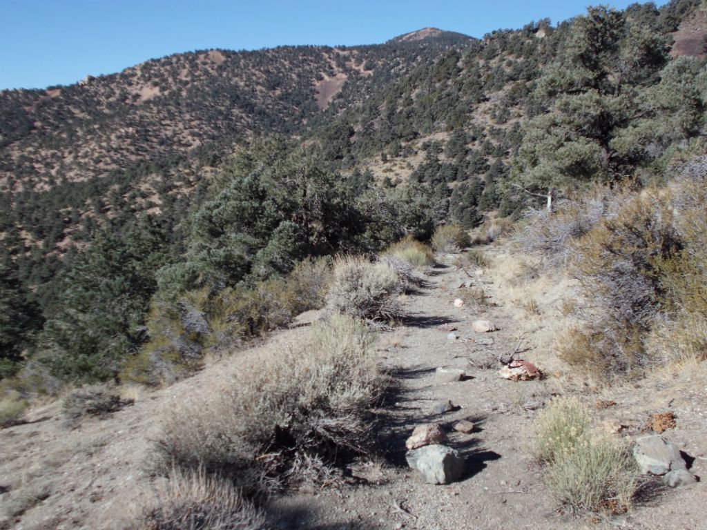 From the saddle on, the road has long been closed and is now just a hiking trail: