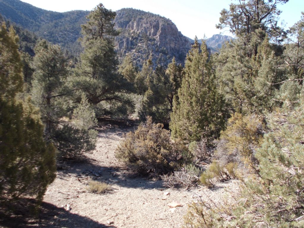 At this spot, the road has come to an end and we are about to start our cross-country navigating: