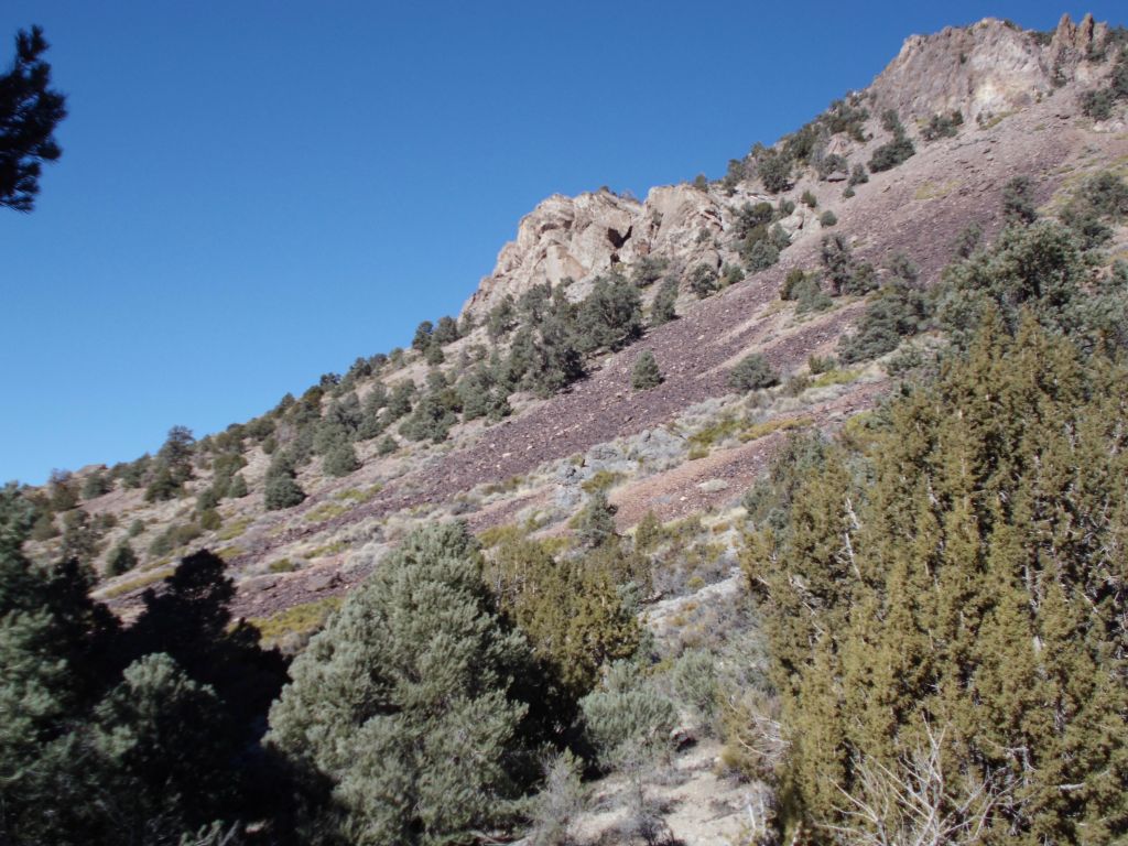 A landslide of purple rocks on the hillside up to the right:
