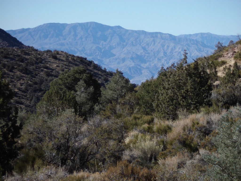 Continuing to work our way through with a nice view of the Cottonwood Mountains far in the distance:
