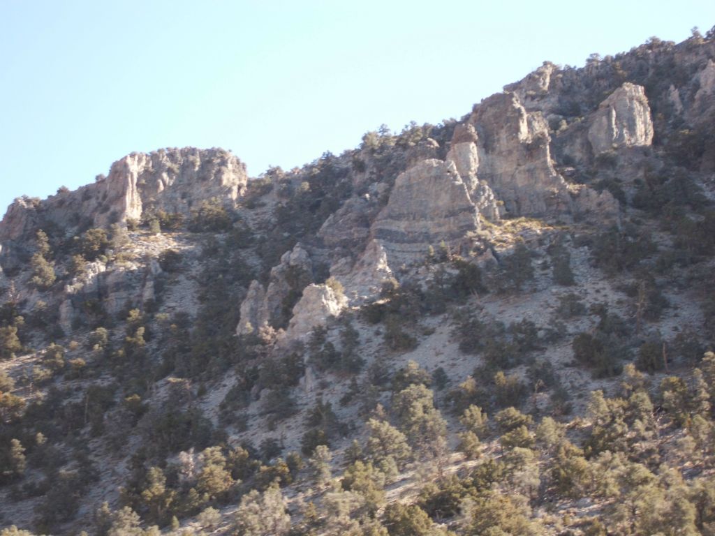 Interesting banded rock formations sticking up on the hillside: