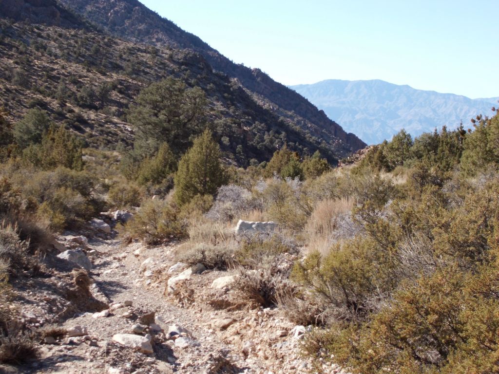 Once the main side canyon converges with Moonlight Canyon, the terrain gets a little bit easier with a small wash to walk in: