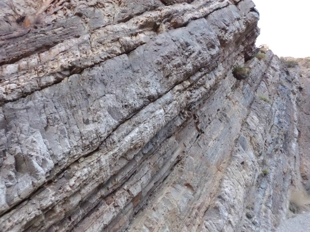 Check out the unique shape and design of this rock: