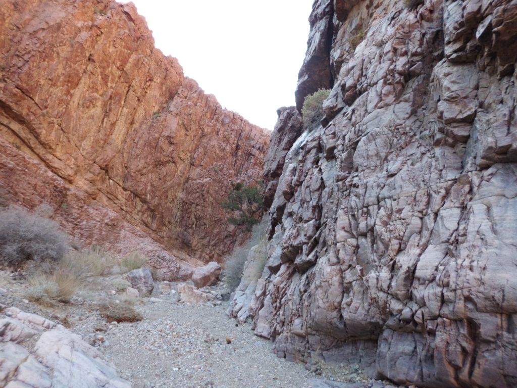 First sign of the contrasting colors of red and purple, which would punctuate the narrows: