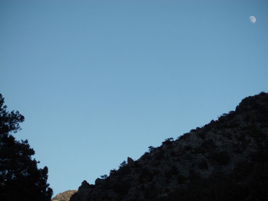 We ended up barely being able to reach the old road before dark and we hiked out of Moonlight Canyon by way of the moonlight: