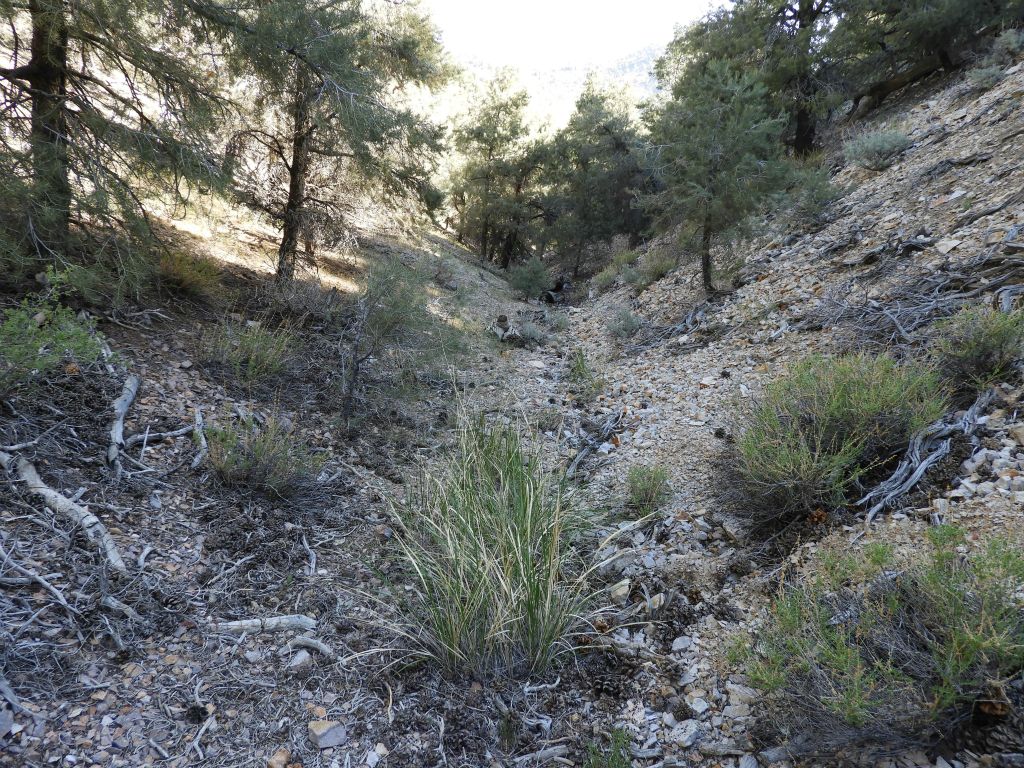 At other spots, we could hike directly through the narrow wash: