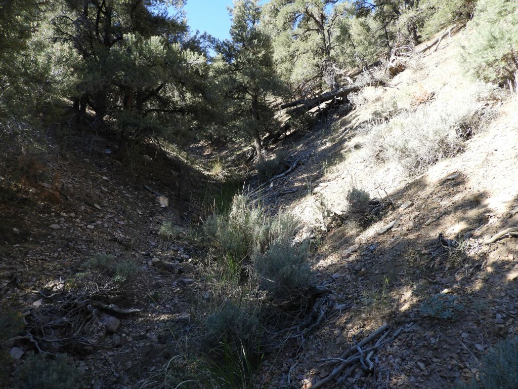 The hillsides above the wash sloped upward at steep angles here: