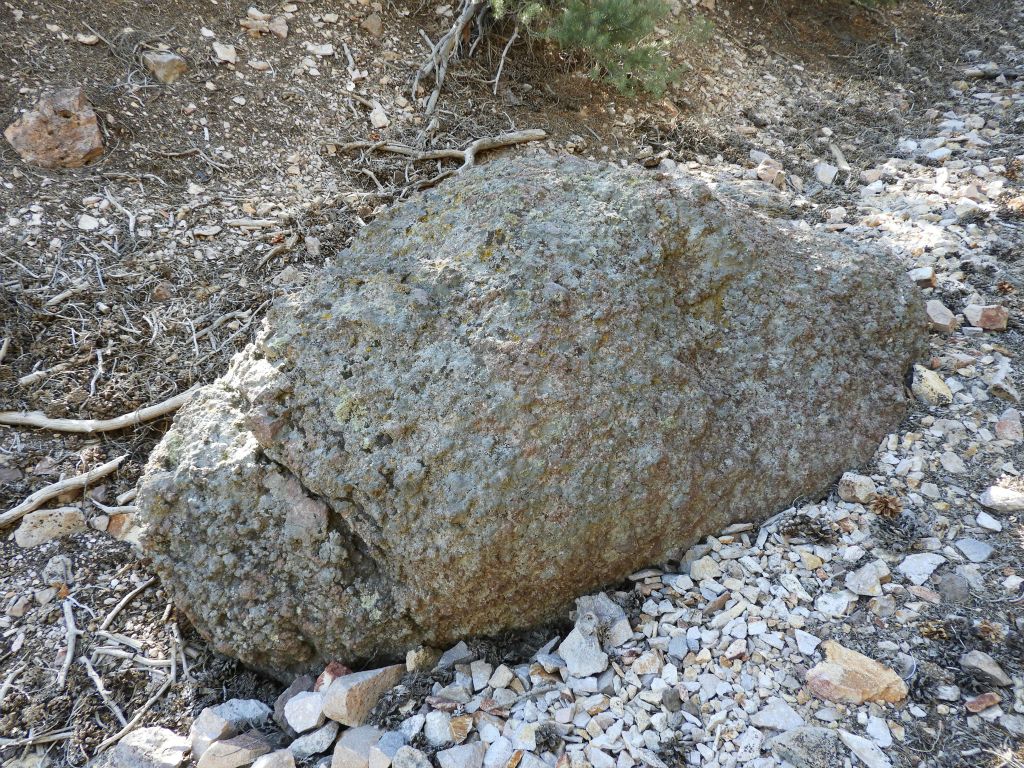 This is the "football" rock described in our guidebook as a location marker during the hike: