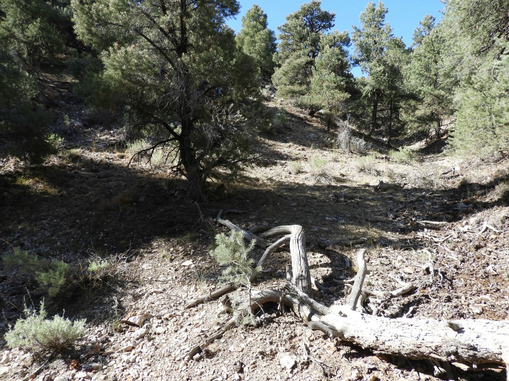 A short distance past the "football" rock, we came to this junction and began climbing the hillside: