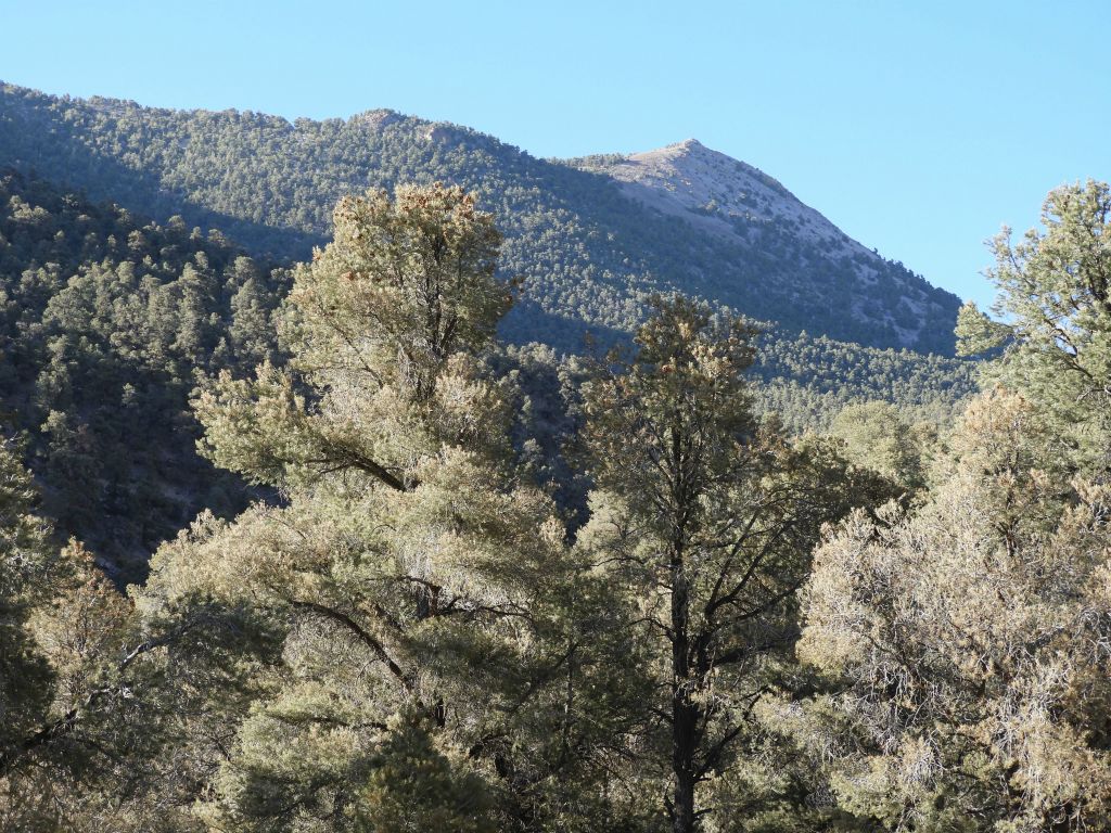 Notice that Wahguyhe Peak is actually visible from the campground: