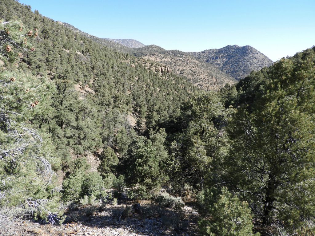 Looking back down after climbing a short distance up the hillside, which was already a lot steeper: