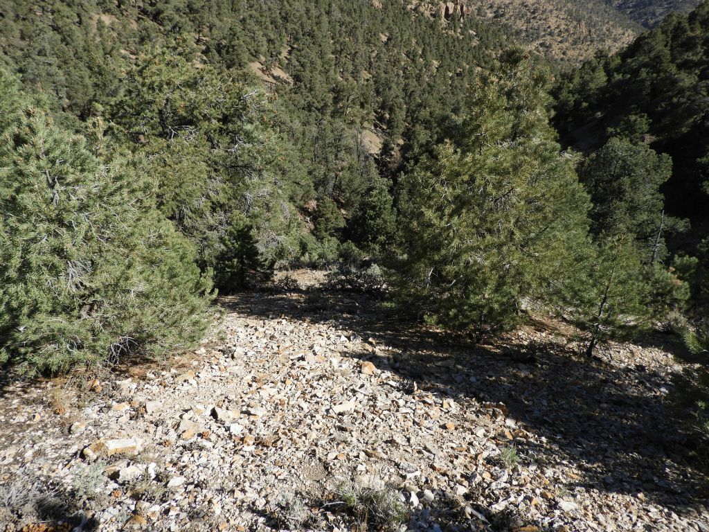 Gaining a little bit more elevation and looking back.  You can see what the hillside terrain looked like so far: