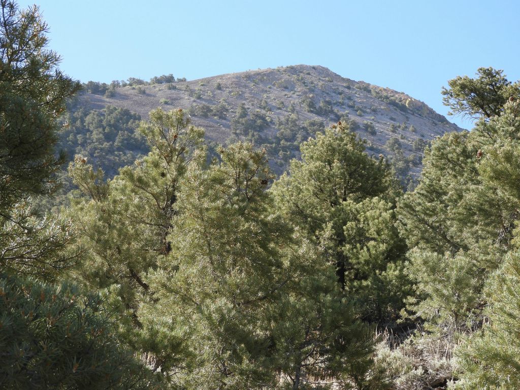 The summit block of Wahguyhe Peak came into view high above us: