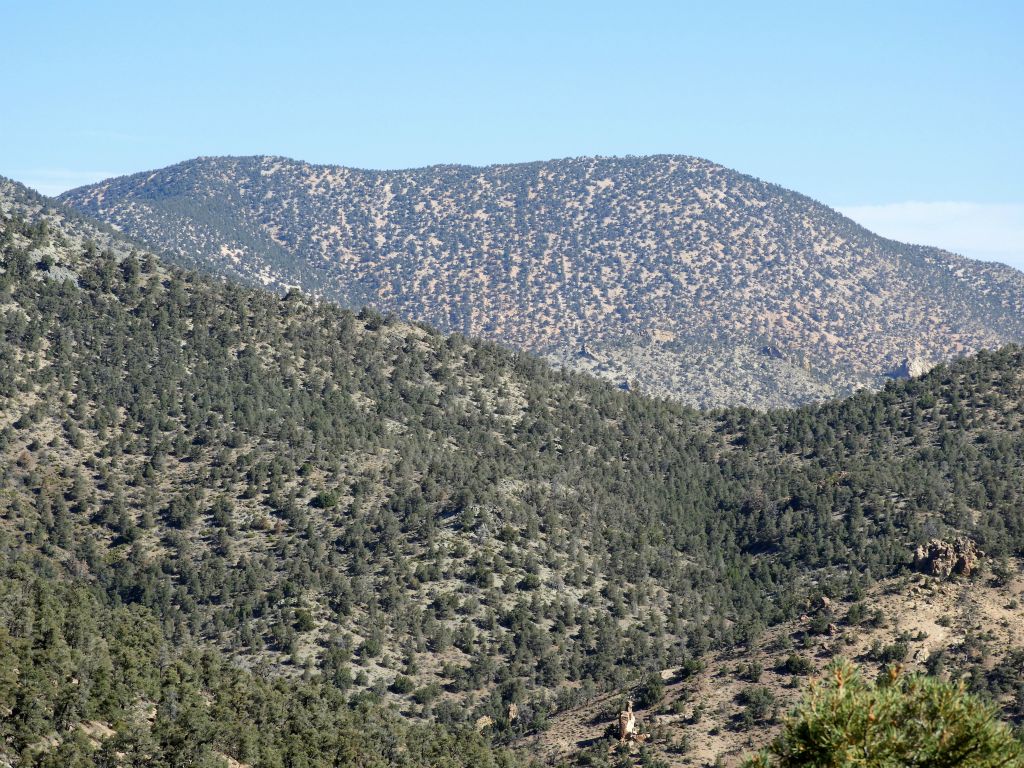 The prominent peak which now came into better focus was Coyote BM (8,570 feet):