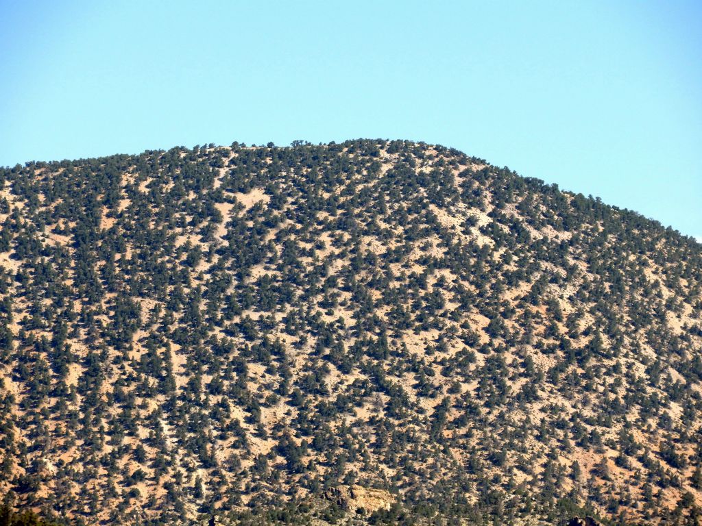 Zooming in on the summit of Coyote BM, which is only 58 feet lower in elevation than Wahguyhe Peak: