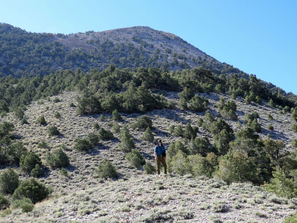 Tobin standing on the first plateau reached during the hillside climb.  The second plateau can be seen just above him: