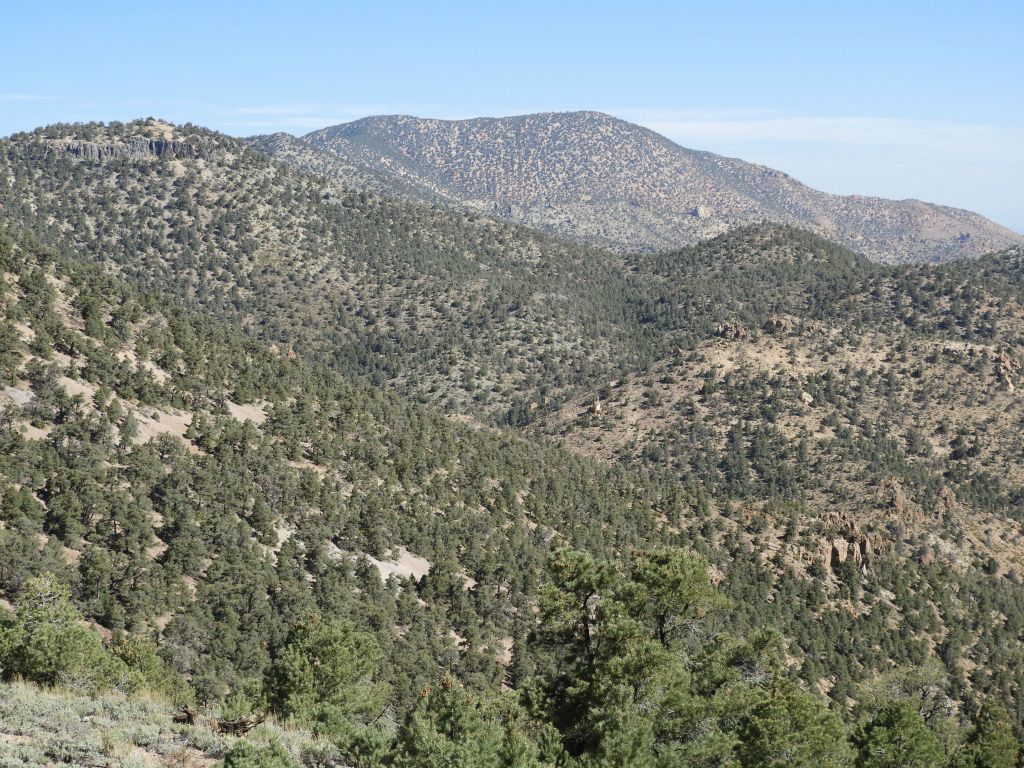 Phinney Canyon cuts across the middle of the picture.  The Grapevine Peak hiking route headwall can be seen at the upper left: