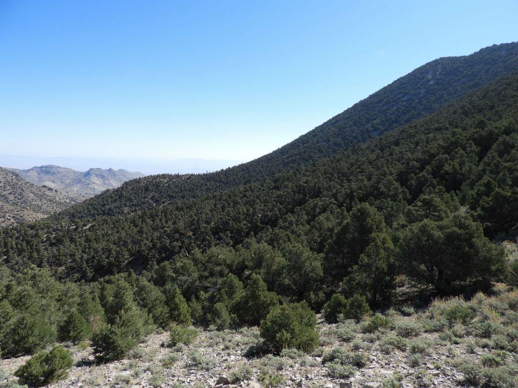 The slopes to the east look like a potentially more gentle climb up to the summit ridgeline:
