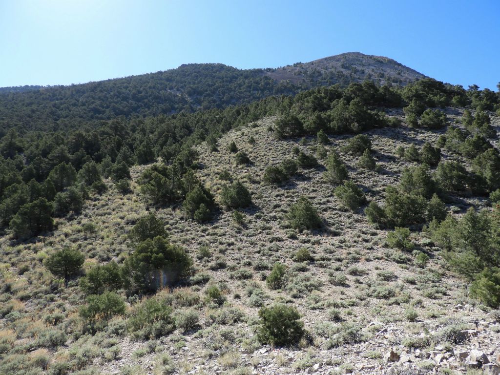 Now climbing the small section of hillside in between the first plateau and second plateau: