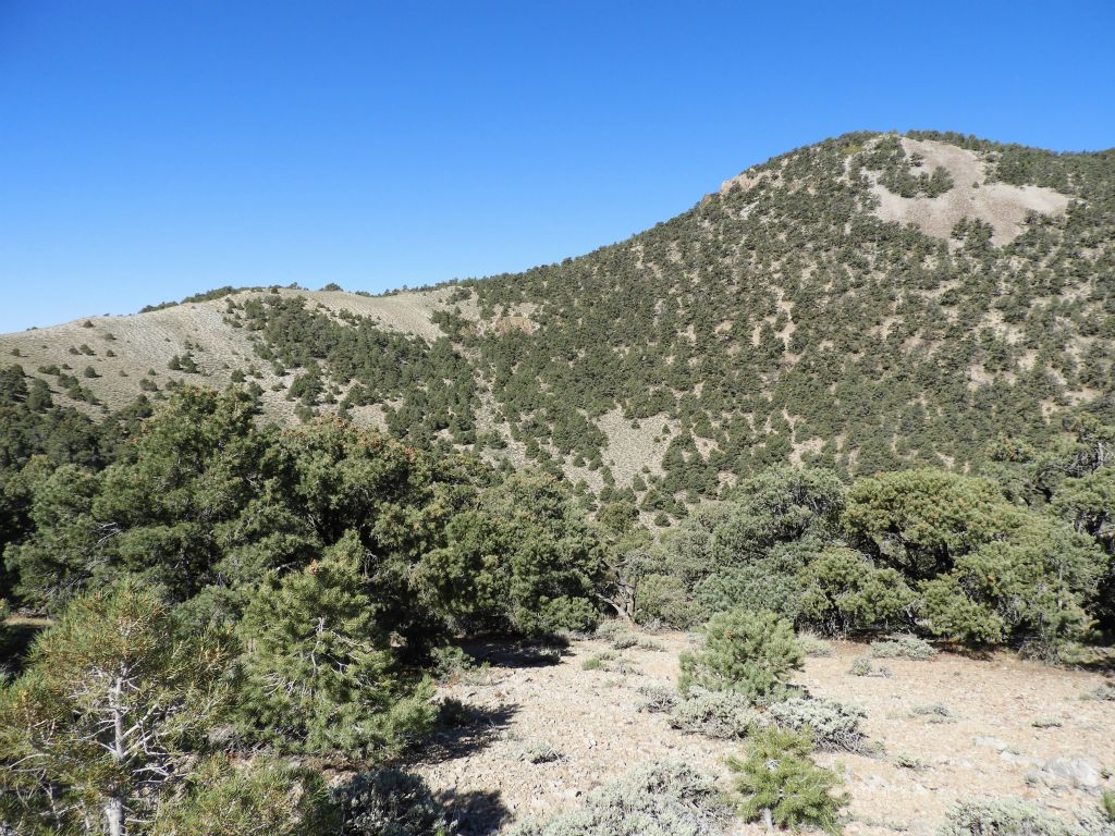 View to the west showing the ridge route which connects the Phinney-Moonlight saddle with the western Wahguyhe ridgeline: