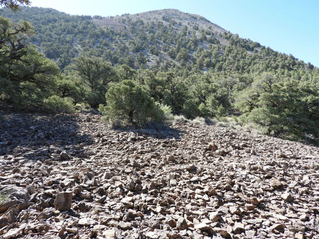 The scree climb begins at the top of the second plateau.  At first, the scree is not too hard to deal with because the slope is not that steep:
