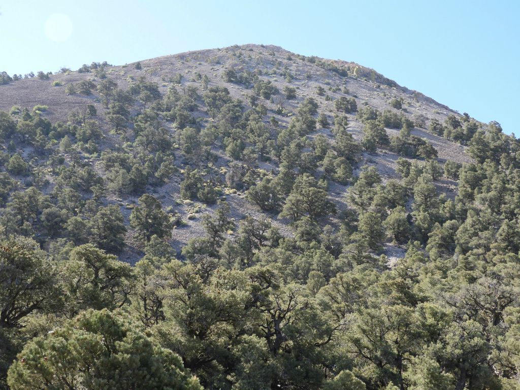 Looking ahead at the final 1,000 foot climb in elevation to the summit: