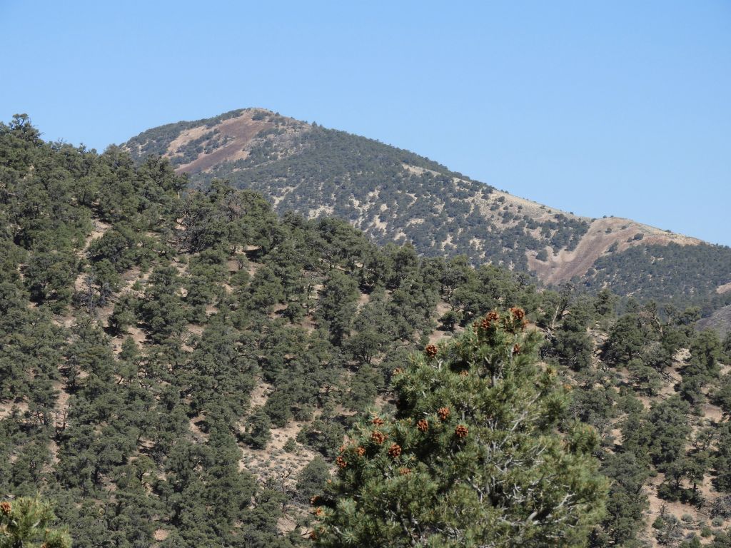 Grapevine Peak, the highest point in the Grapevine Mountains, comes into view: