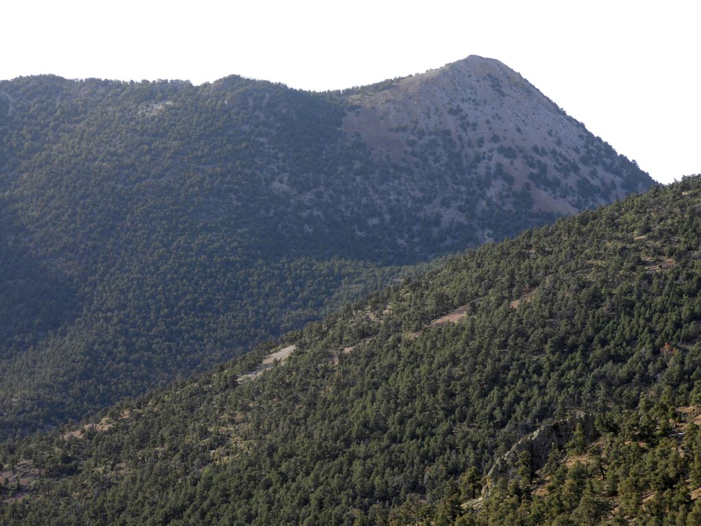 This view of Wahguyhe Peak was not taken during the hike, but during a hike up Phinney Canyon Road the next day.  It provides another perspective of the cone-shaped summit: