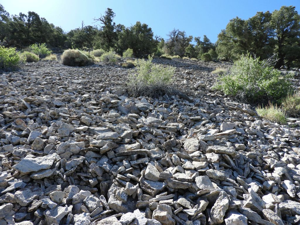 The terrain became very hard to deal with from this point on.  Look at the deep layer of scree we were trying to hike on: