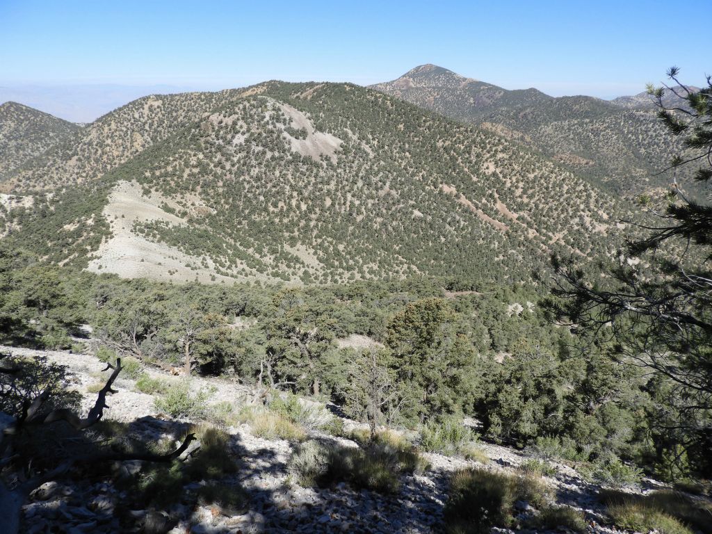 Hikers who use the ridge route from the Phinney-Moonlight saddle have to climb back up the 500 feet in elevation seen in the distance here on the return hike: