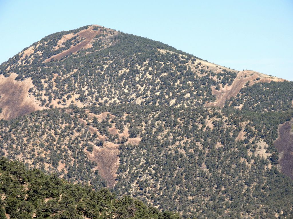 Zooming in on the colorful rock slide patterns of Grapevine Peak: