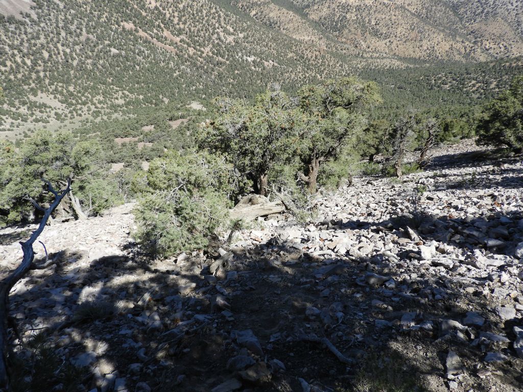 The slope got considerably steeper the higher we climbed: